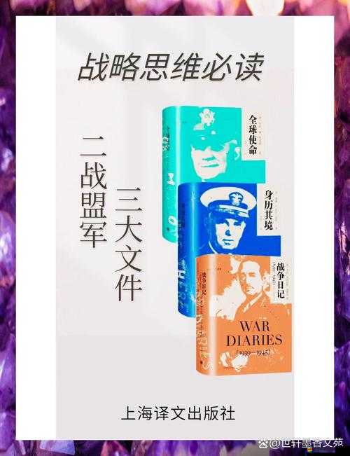 權(quán)力的游戲背后，蒙哥馬利盟軍將領(lǐng)的真實(shí)角色與動(dòng)機(jī)揭秘？