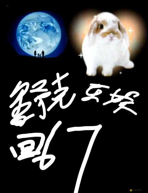 名將無雙中，平民新手玩家如何快速崛起，攻略秘籍大揭秘？