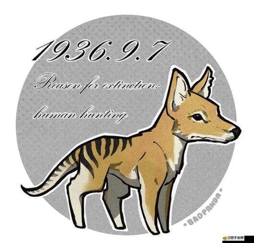 嗨皮精靈中袋狼如何獲??？袋狼屬性技能全面解析揭秘！