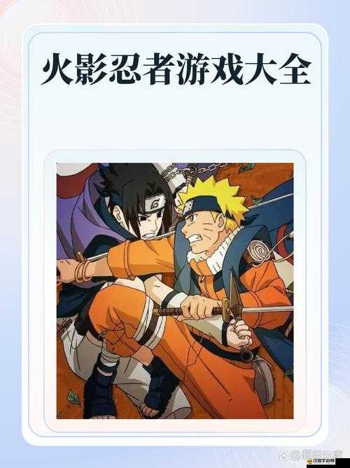 忍者風(fēng)暴揭秘，每日任務(wù)中的忍者小技巧，如何巧妙管理資源成疑？