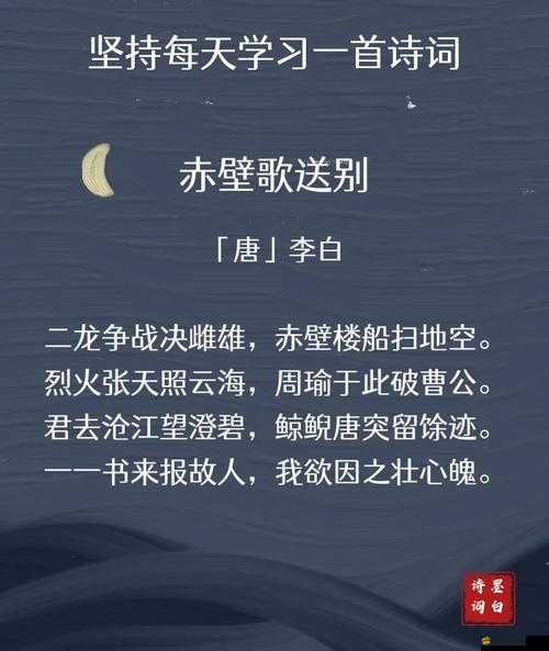 赤壁全明星每日爆料，鬼才軍師智謀天地究竟隱藏何驚天秘密？