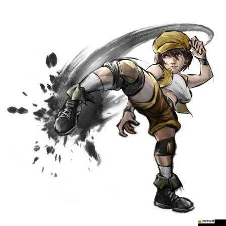 功夫全明星武師蘇花子，真實技藝大揭秘，哪些誤解亟待澄清？