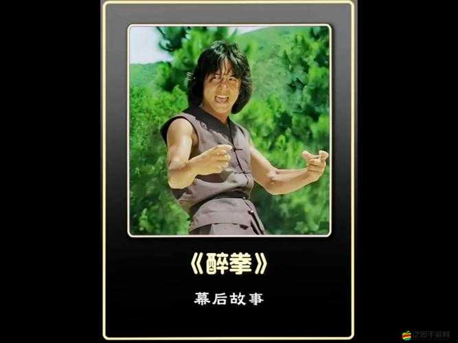 功夫全明星武師揭秘，醉燕的傳奇演變史，背后有何不為人知的故事？