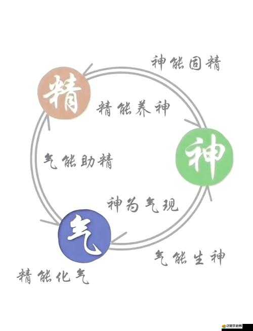 如何快速掌握？揭秘打通任督二脈龍訣成長體系的全面一覽