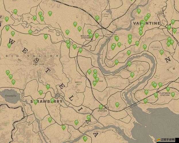 海島紀元熊本熊坐標全揭秘你敢挑戰全地圖搜尋嗎？精準定位指南助你快速捕獲萌熊伙伴