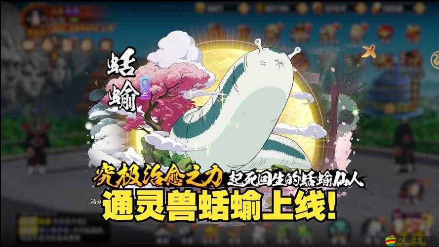 綱手的通靈獸蛞蝓仙人究竟擁有哪些獨特的醫療與戰斗能力？